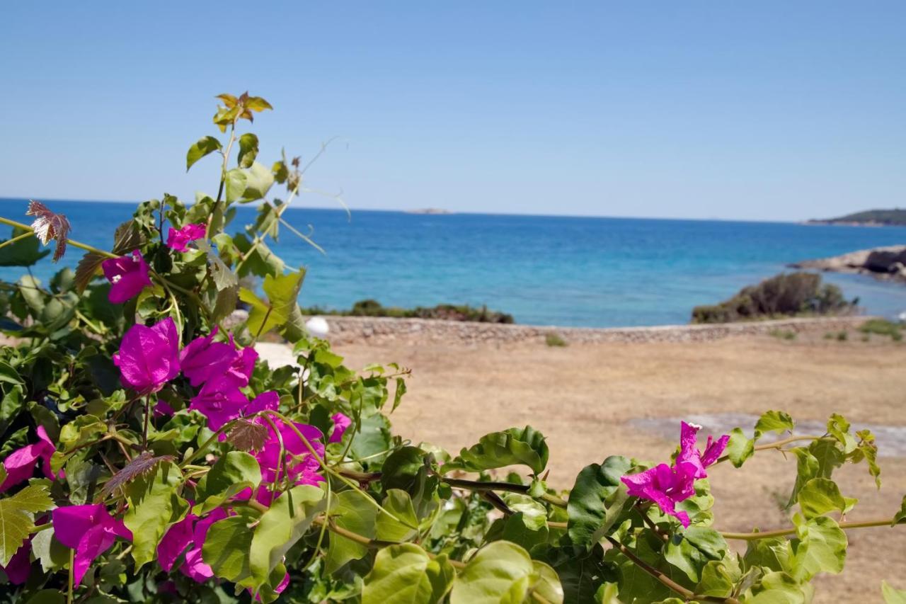 Aroura Homes 4Br Beachfront Villa Spétses Екстериор снимка